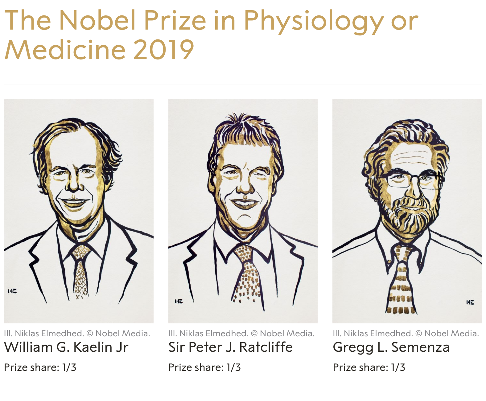 Nobel Medicine Prize 2019